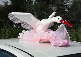 Аист для девочки на крышу