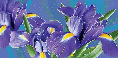 Конверты для денег Ирисы, 10 шт.