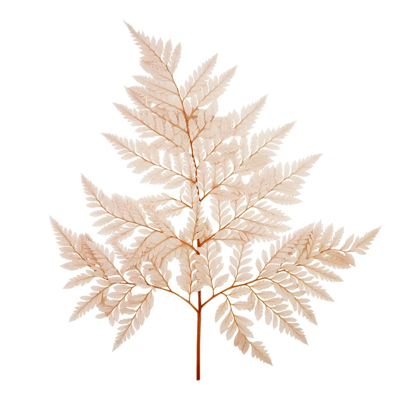 Розовые Листья папоротника стабилизированные 30 см 10 шт.