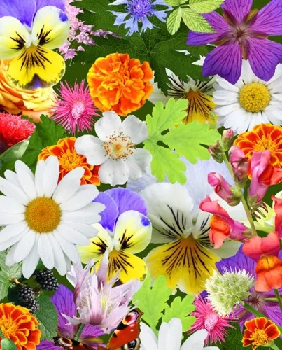 Пакет подарочный Цветочный бум (S) 12 х 15 х 9