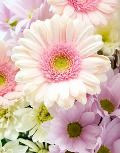 Пакет подарочный Цветочная пастель (S) 12 х 15 х 9