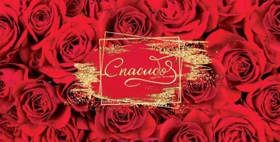 Конверт для денег Спасибо* (5 шт.)