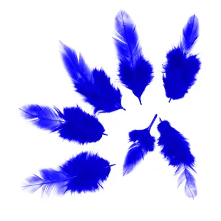 Перья Синие, 50 шт.
