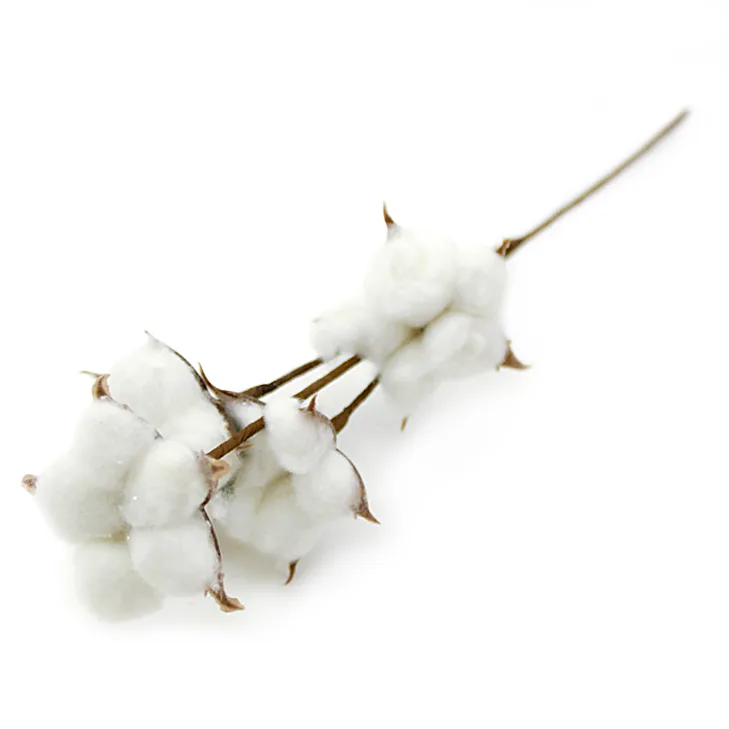 Ветка хлопка искусственная (4 коробочки) 36см