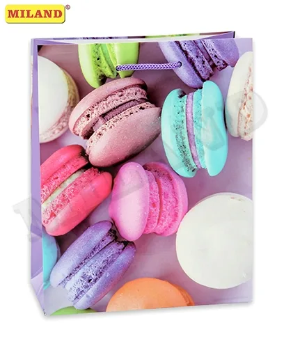 Пакет подарочный с глянцевой ламинацией 18х23х10 см (M) Вкусные макаруны