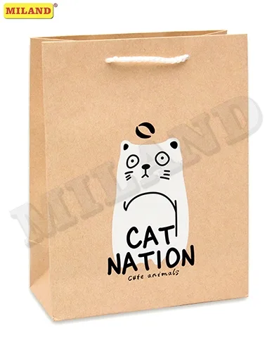 Dream cards Пакет подарочный с матовой ламинацией 18х23х10 см (M) Кот