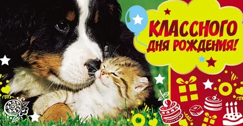 Конверт "Классного дня рождения!" (10 шт.)