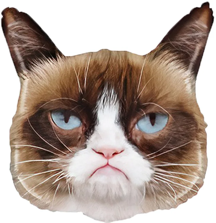 F 26"/66см Сердитая кошка, 1 шт.(Китай)