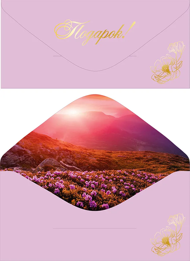 Конверт для денег Подарок! софт-тач (5 шт.)