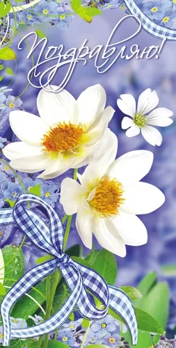 Конверт Поздравляю! (белые цветы) (10 шт.)