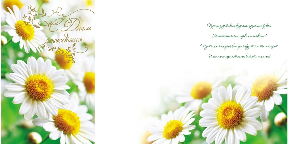 Открытка А5 С Денем рождения! ромашковое поле (10 шт.)