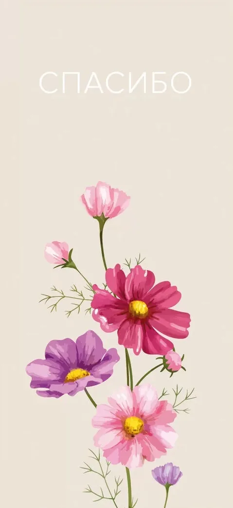 Конверты для денег, Спасибо (цветущая космея), 5 шт.