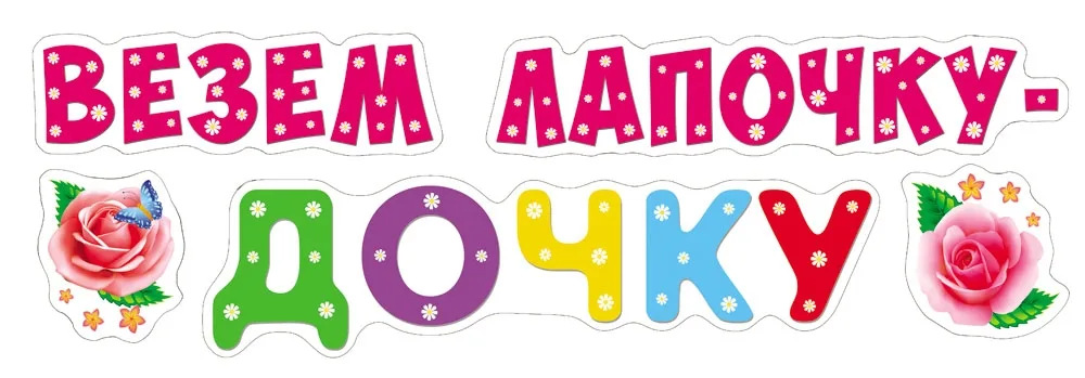 Наклейки ПВХ (474*164) Везем лапочку дочку!