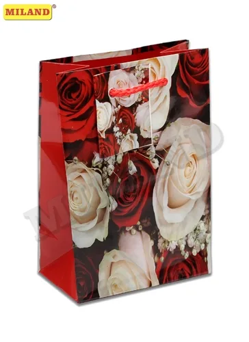 Пакет подарочный  Красные и белые розы (S) 12 х 15 х 9