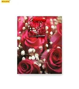 Пакет подарочный Нежный букет роз (S) 12 х 15 х 6