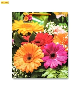 Пакет подарочный Яркие герберы (L) 26 х 33 х 14