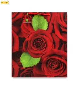 Пакет подарочный Бутоны роз (L) 26 х 33 х 14