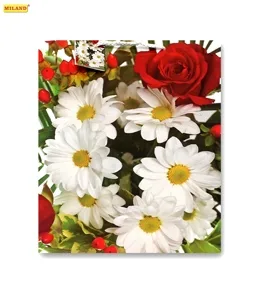 Пакет подарочный Ромашки с розой (L) 26 х 33 х 14