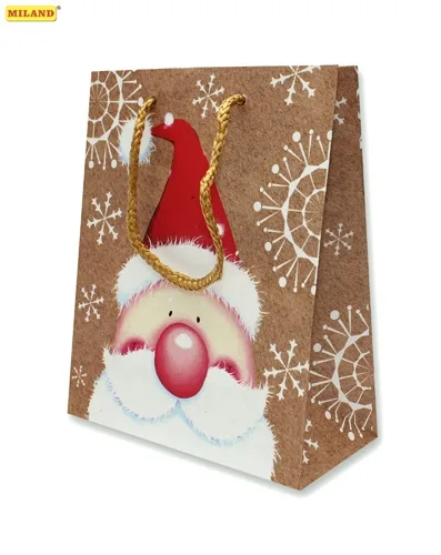 Пакет подарочный Дед Мороз Красный Нос (S) 12 шт