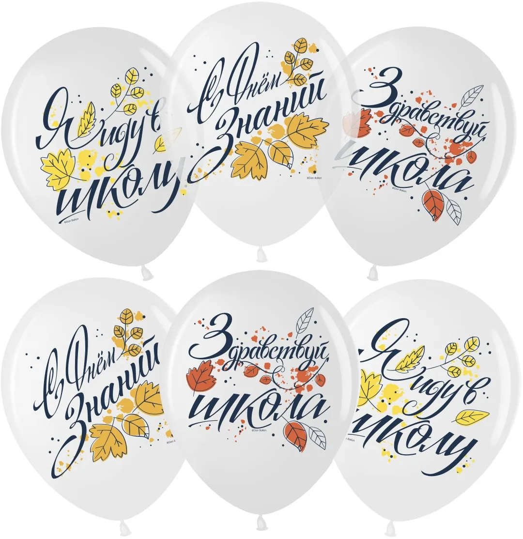 ВВ 12''/30 см С Днем Знаний, Белый (200)/Прозрачный (600), кристалл, 1 ст, 25 шт.(Малайзия)