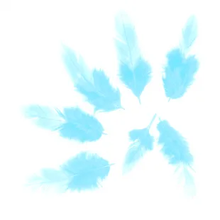 Перья Тиффани, 50 шт.