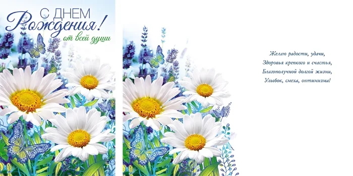 Открытка А5 С Днем рождения! ромашки и бабочки(10 шт.)