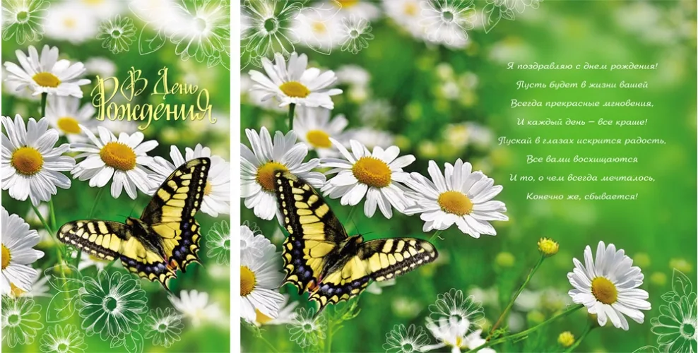 Открытка А5 В  день рождения! Ромашковое поле (10 шт.)