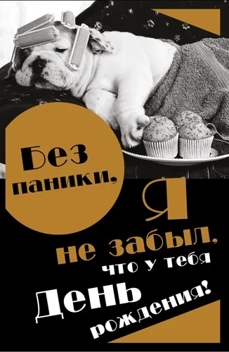 Открытка А5 Без паники (10 шт.)