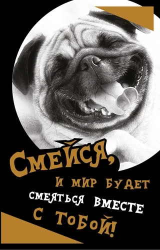 Открытка А5 Смейся (10 шт.)
