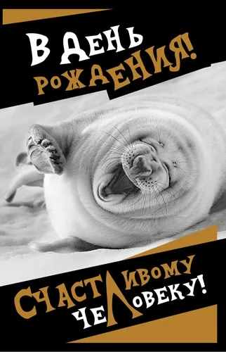 Открытка А5 Счастливому человеку (10 шт.)