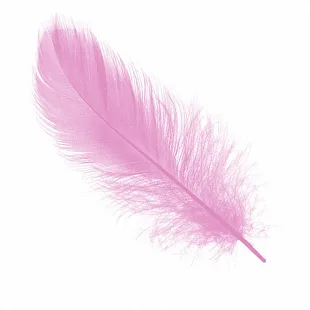 Перья Нежно-розовые 14-17 см 30 шт.