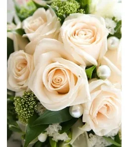 Пакет подарочный  Белые розы (М) 18 х 23 х 10