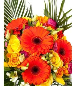 Пакет подарочный  Солнечные герберы (М) 18 х 23 х 10