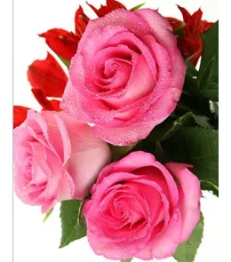 Пакет подарочный  Изысканный букет (М) 18 х 23 х 10