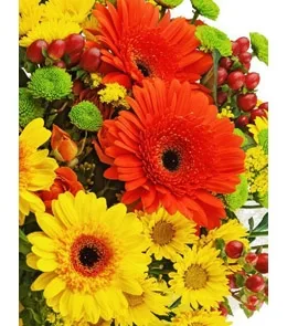 Пакет подарочный  Прекрасные герберы (L) 26 х 33 х 14