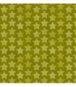 Пакет подарочный  Милитари (L) 26 х 33 х 14