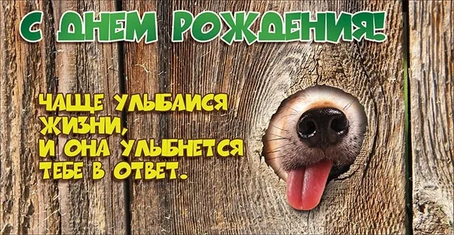 OPTIMA Конверт для денег "С Днем рождения!" Собака