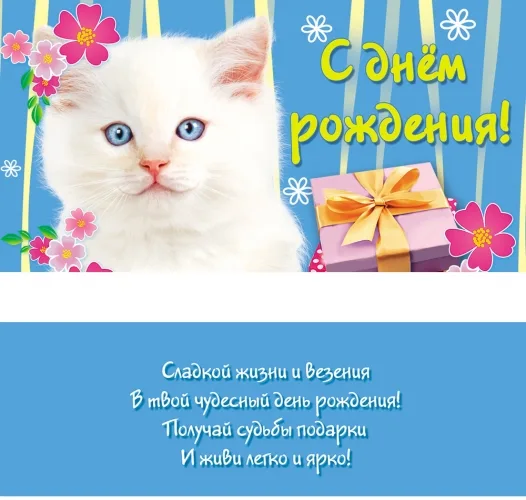 Конверт "С днем рождения! " Кот (10 шт.)