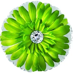 C 18"/46см Круг, Гербера, Зеленый, 1 шт. (США