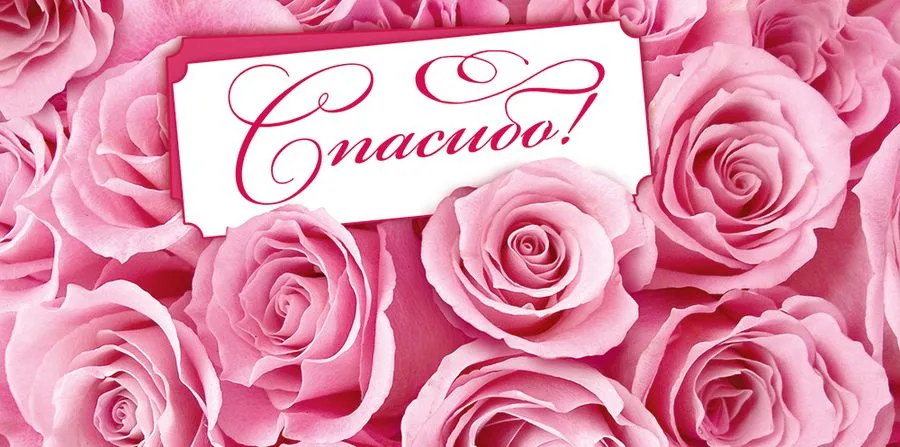 Конверт для денег "Спасибо!"  (5 шт.)