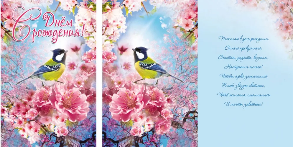 Открытка А5 С днем рождения! Синичка (10 шт.)