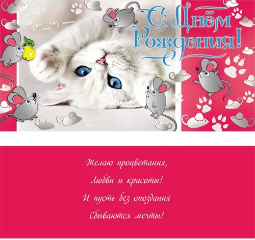 Конверт С днем рождения! Кошка (10 шт.)