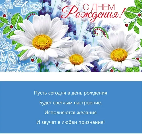 Конверт С днем рождения! Ромашки (10 шт.)