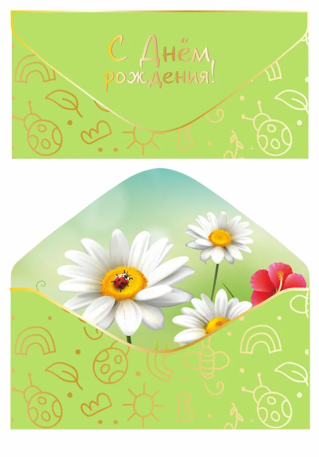Конверт С Днем Рождения софт-тач ромашки (5 шт.)