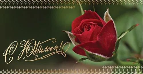 Конверт С Юбилеем! роза в саду (10 шт.)