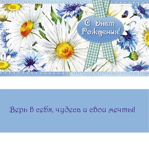 Конверт С Днем рождения! ромашки и васильки (10 шт.)