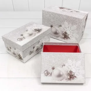 Набор коробок Новогодний натюрморт, Серебро, 22*15*11 см, 3 шт.
