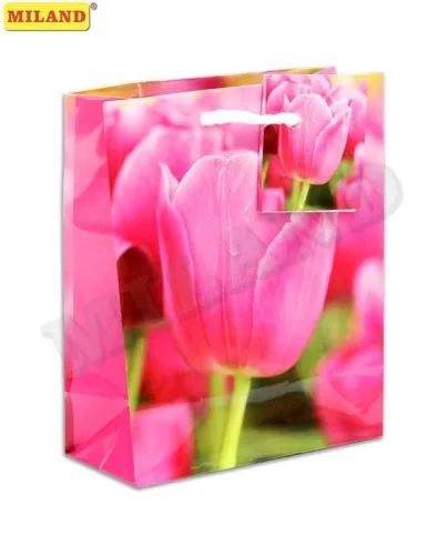 Пакет подарочный Милый тюльпан (S) 12 х 15 х 9