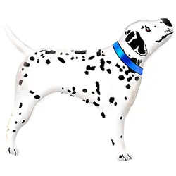 И 14 Далматинец / 1 шт / (Испания)