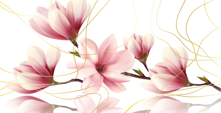 Конверт для денег Без надписи (5 шт.)